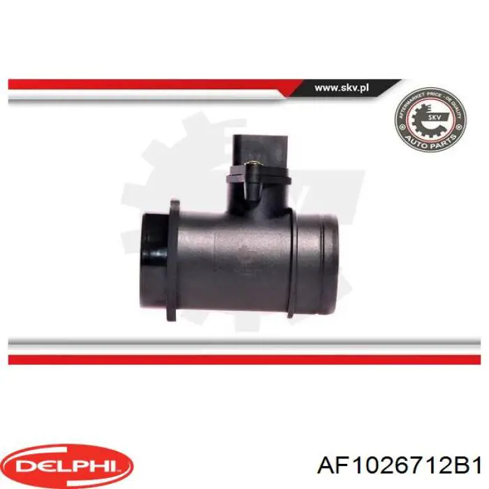 Купити AF1026712B1 Delphi Повітромір