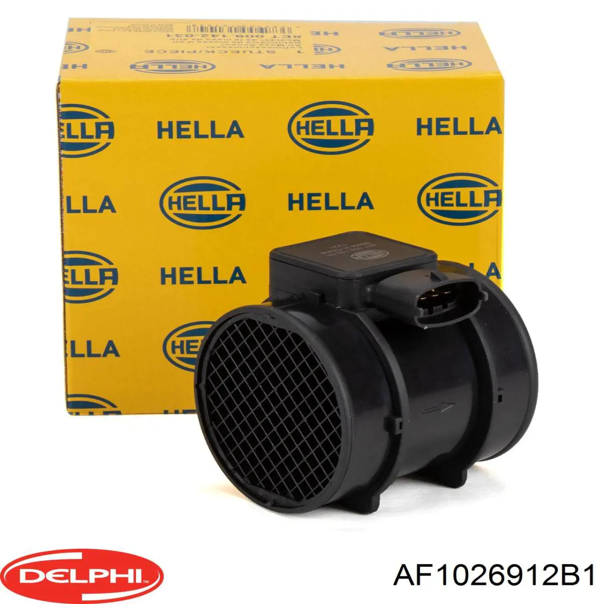 Купити AF1026912B1 Delphi Повітромір