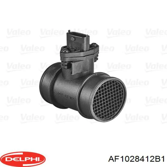 Купити AF1028412B1 Delphi Повітромір