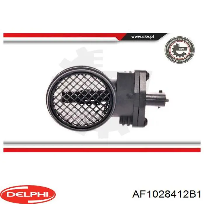ДМРВ AF1028412B1 Delphi