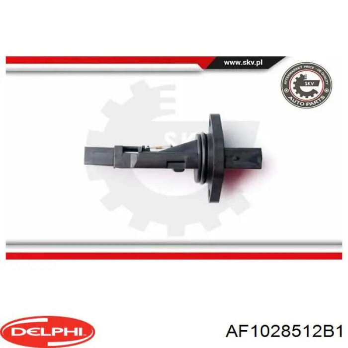 Купити AF1028512B1 Delphi Повітромір