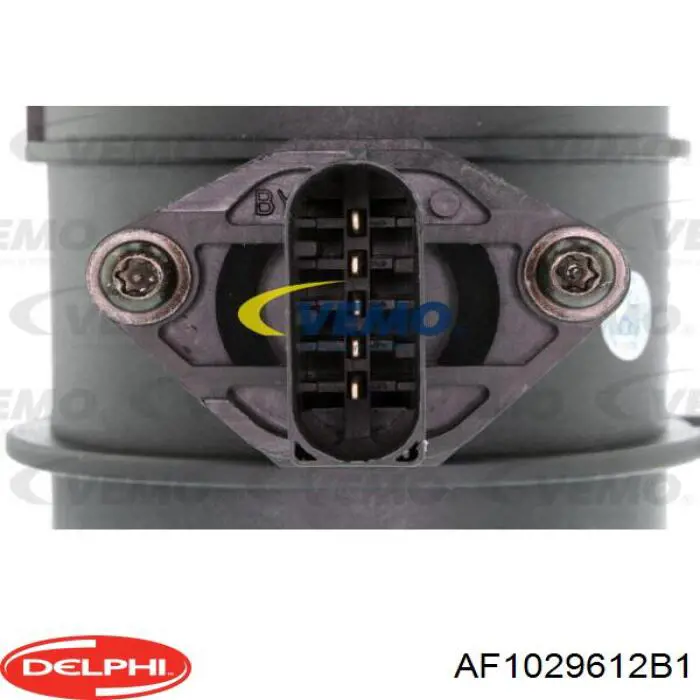 Купити AF1029612B1 Delphi Повітромір