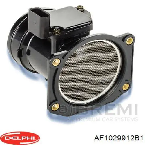 Купити AF1029912B1 Delphi Повітромір