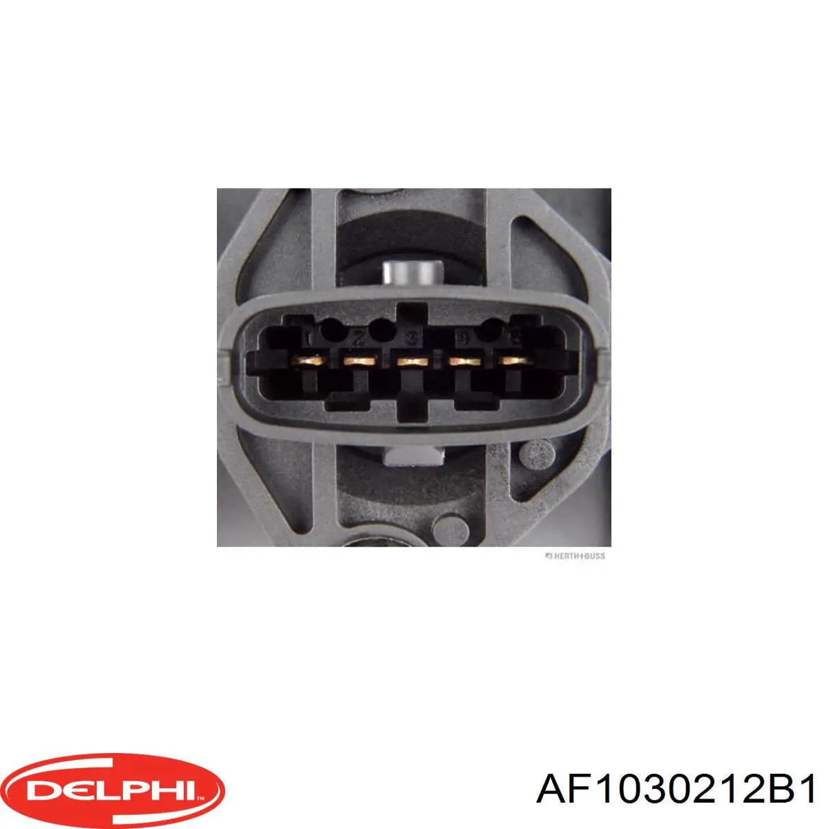 Купити AF1030212B1 Delphi Повітромір
