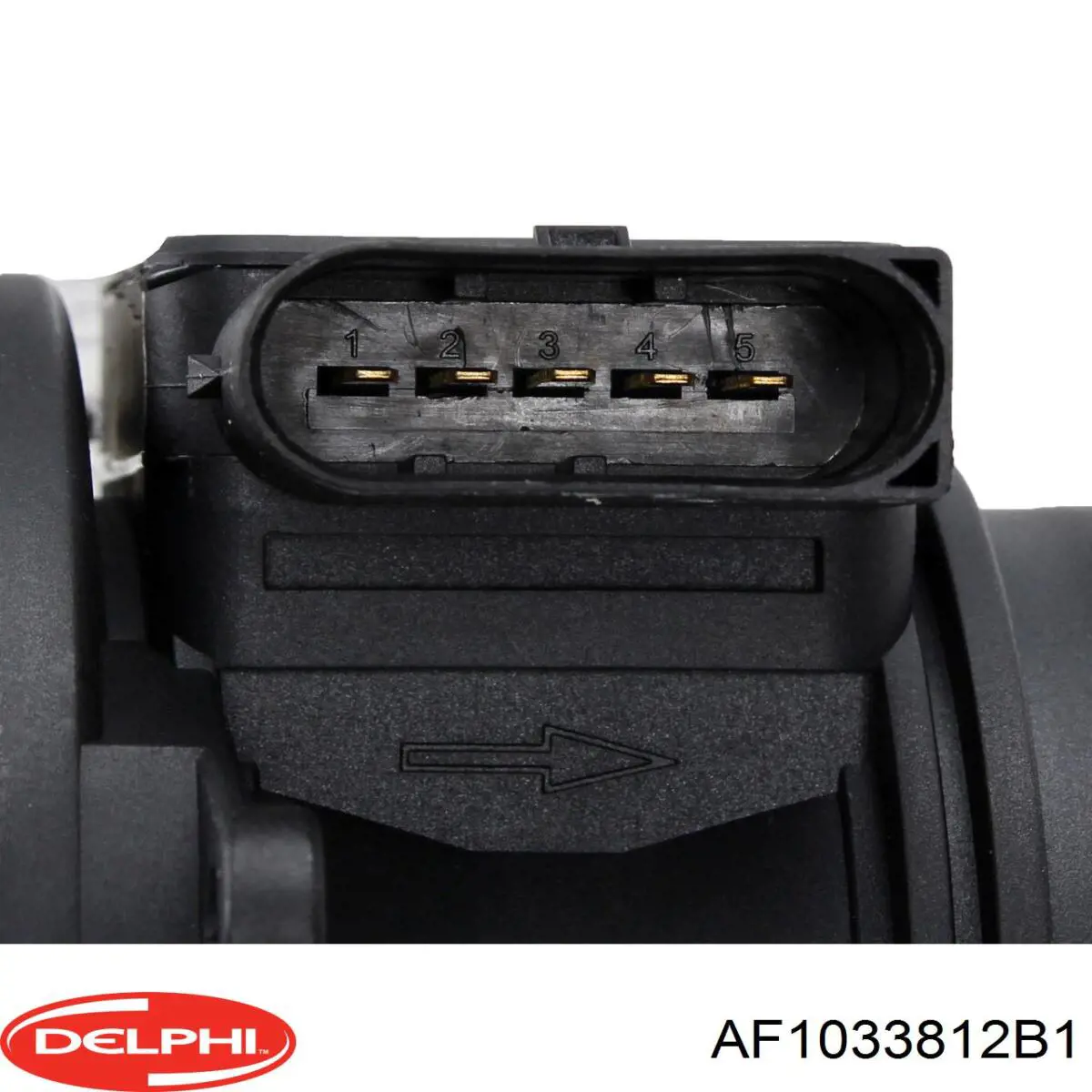 Купити AF1033812B1 Delphi Повітромір