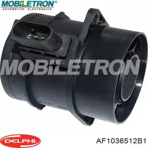 Купити AF1036512B1 Delphi Повітромір