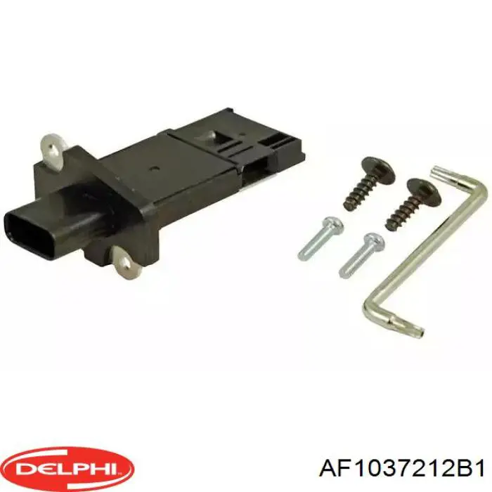 Купити AF1037212B1 Delphi Повітромір