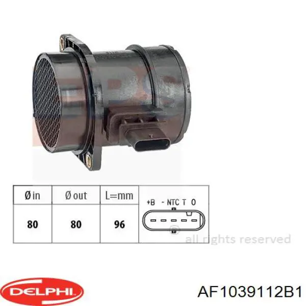 Купити AF1039112B1 Delphi Повітромір