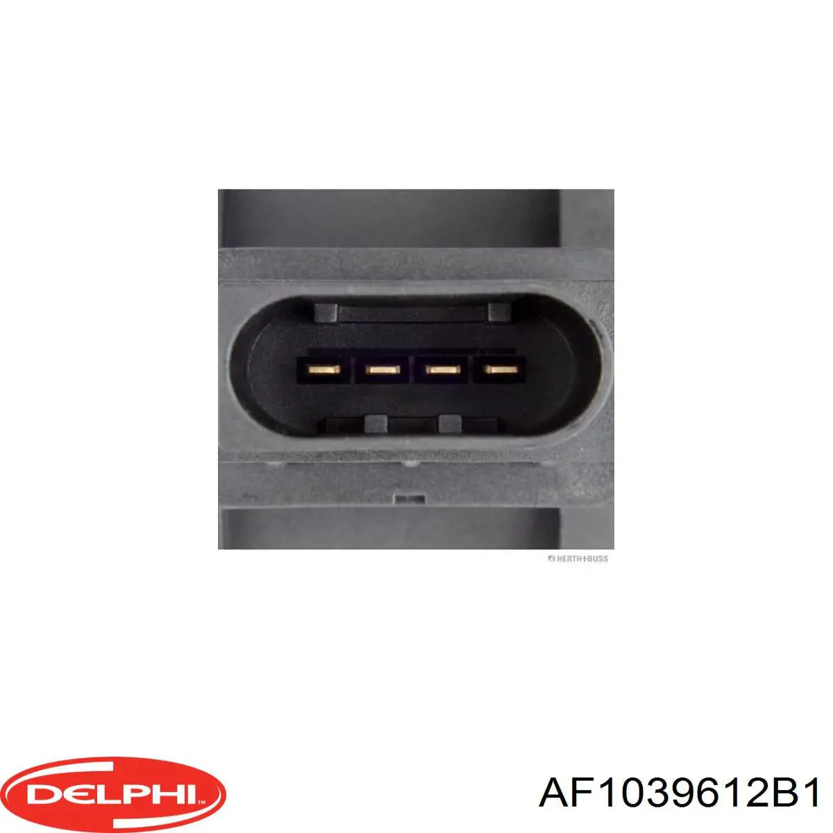 AF1039612B1 Delphi Датчик витрати повітря