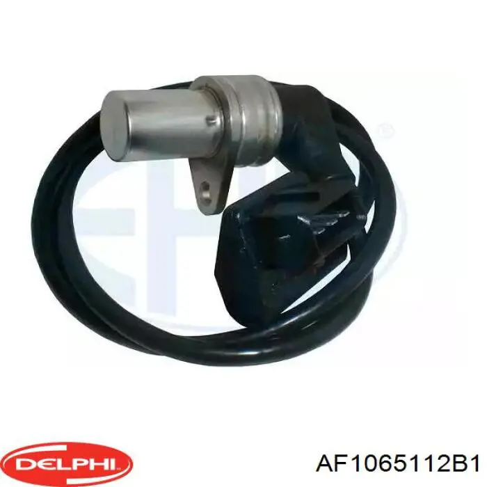 Купити AF1065112B1 Delphi Повітромір