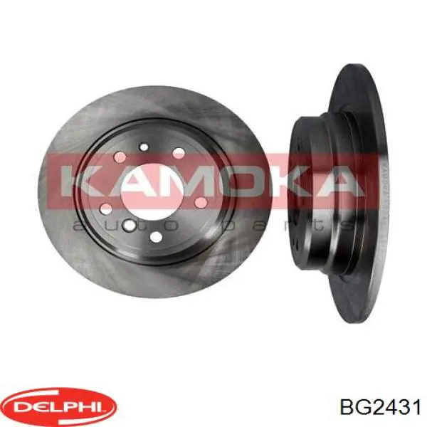 Купити BG2431 Delphi Диск заднього гальма