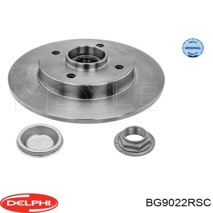 Задні дискові гальма Delphi BG9022RSC ціна, від 81.82 USD