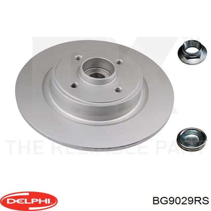 BG9029RS Delphi Дискові гальма