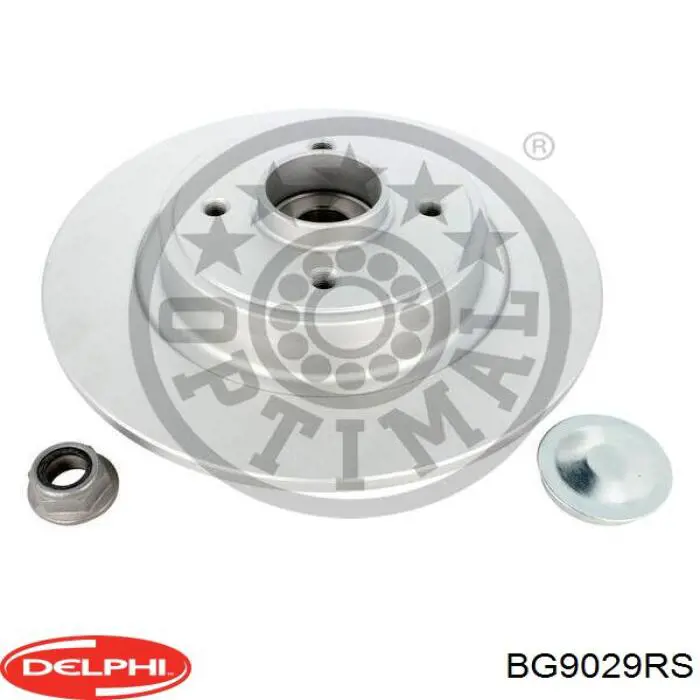 Задні дискові гальма Delphi BG9029RS ціна, від 40.34 USD