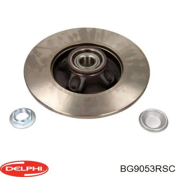 Купити BG9053RSC Delphi Диск заднього гальма