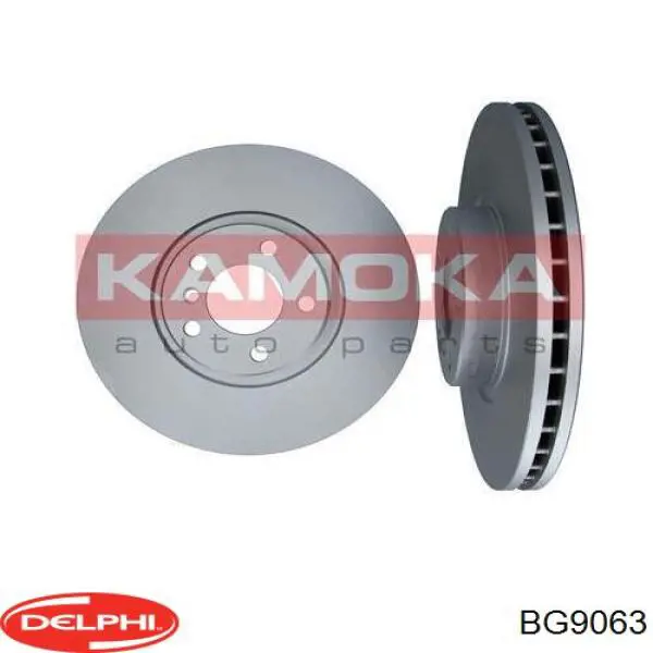 BG9063 Delphi Гальмо дискове переднє