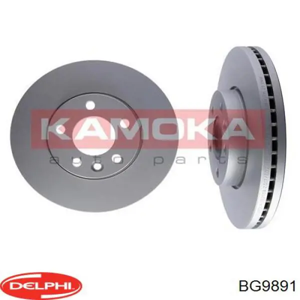 Купити BG9891 Delphi Ротор гальмівний