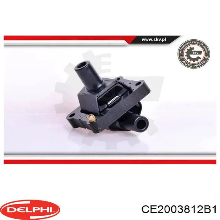 Купити CE2003812B1 Delphi Котушка запалювання