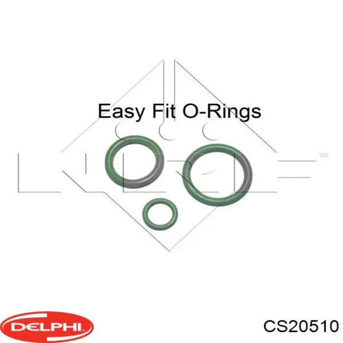 Насос кондиціонера Delphi CS20510