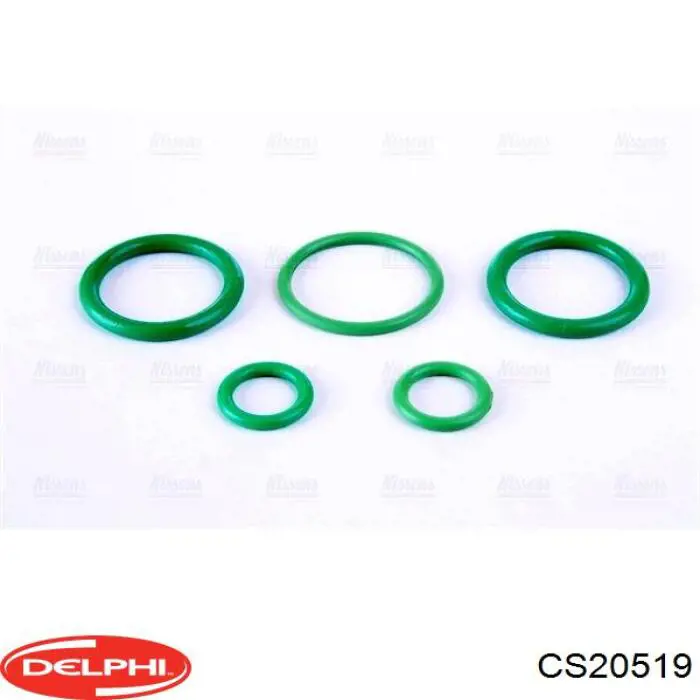 Компресор кондиціонера CS20519 Delphi