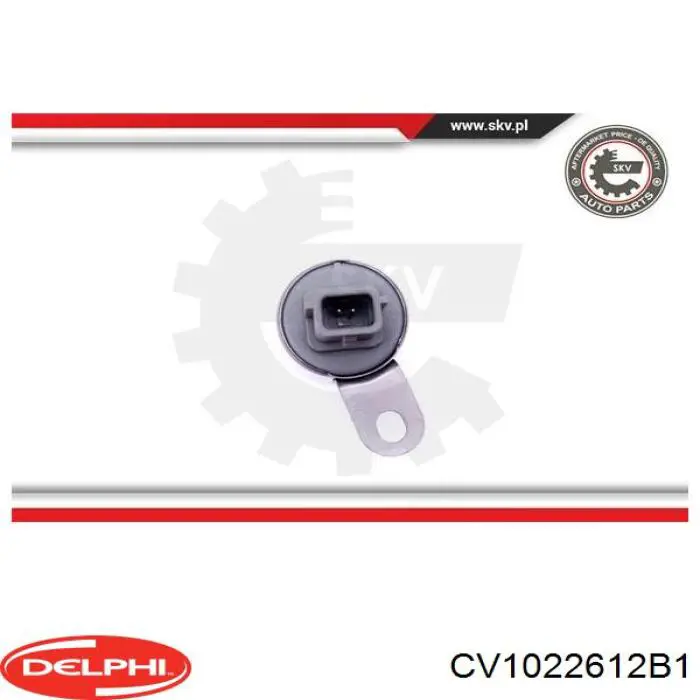 Купити CV1022612B1 Delphi Клапан фазорегулятора