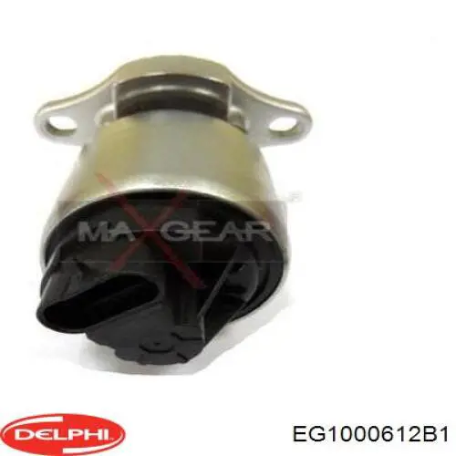 Клапан EGR Delphi EG1000612B1 ціна, від 31.08 USD
