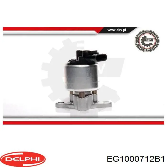 EG1000712B1 Delphi клапан egr, рециркуляції газів