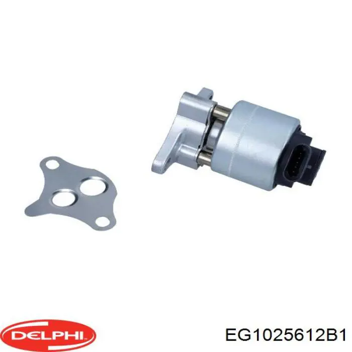 Купити EG1025612B1 Delphi Прилади управління системи рециркуляції