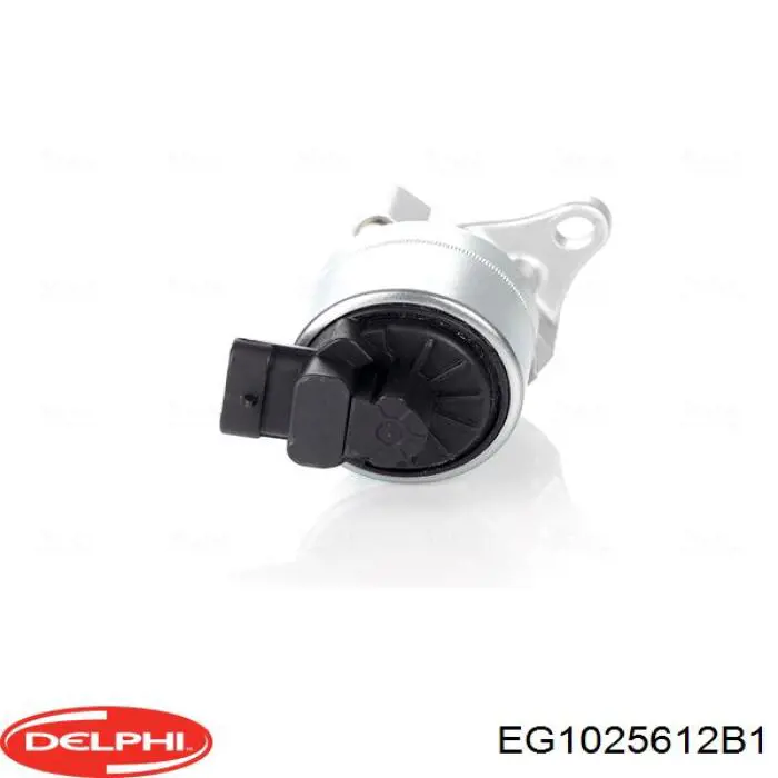 Клапан ЄГР EG1025612B1 Delphi