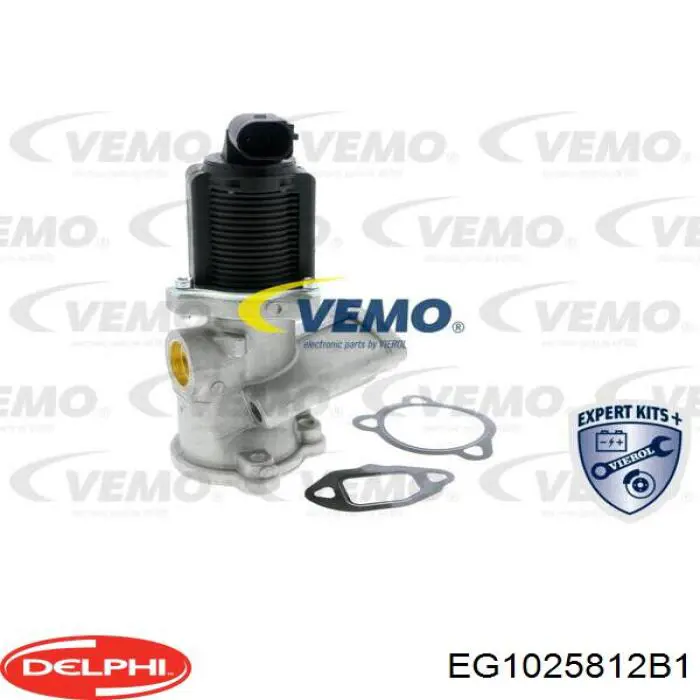 Клапан EGR рециркуляції газів Delphi EG1025812B1