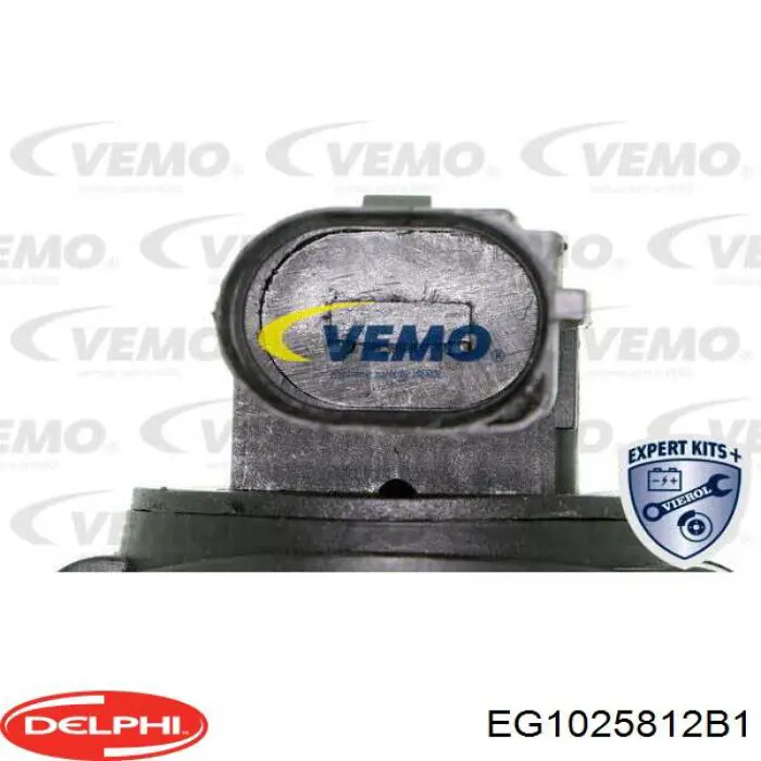 EG1025812B1 Delphi Клапан рециркуляції відпрацьованих газів EGR
