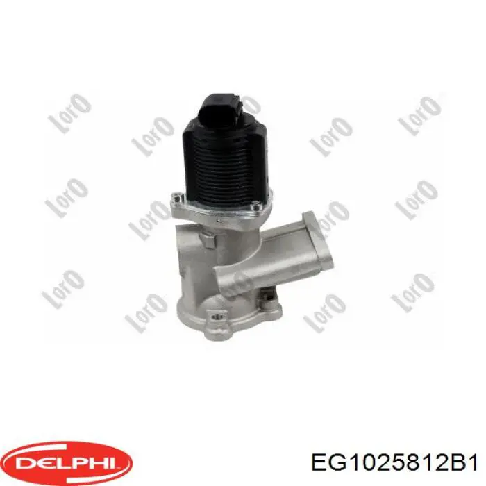 Клапан EGR Delphi EG1025812B1 ціна, від 46.72 USD
