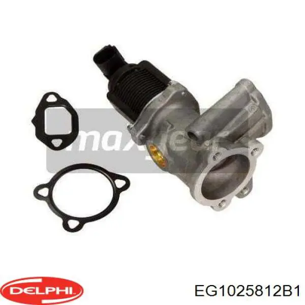 Купити EG1025812B1 Delphi Прилади управління системи рециркуляції