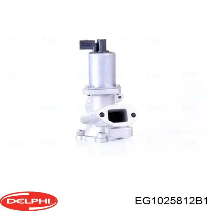 Клапан ЄГР EG1025812B1 Delphi