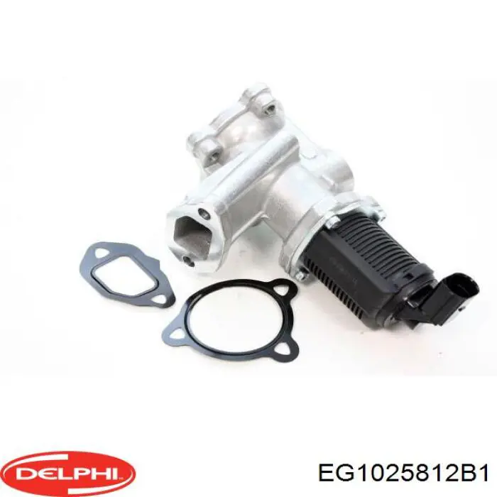 Клапан EGR, рециркуляції газів EG1025812B1 Delphi