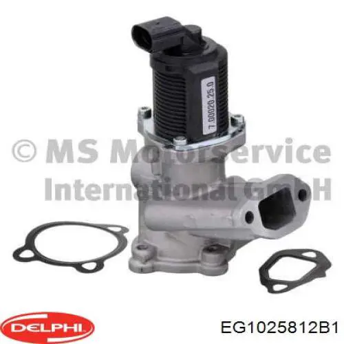 Клапан EGR Delphi EG1025812B1 ціна, від 46.72 USD