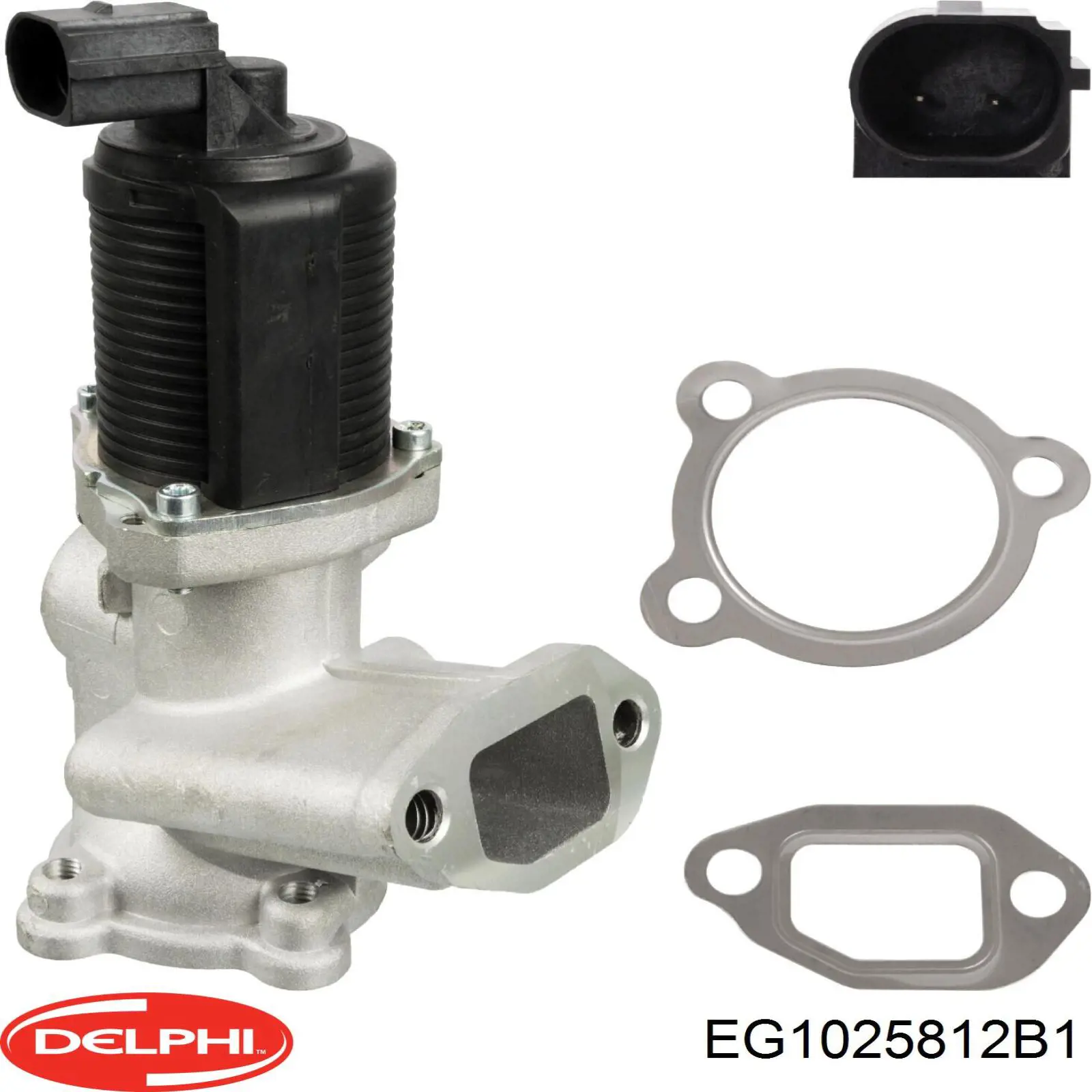Купити EG1025812B1 Delphi Прилади управління системи рециркуляції