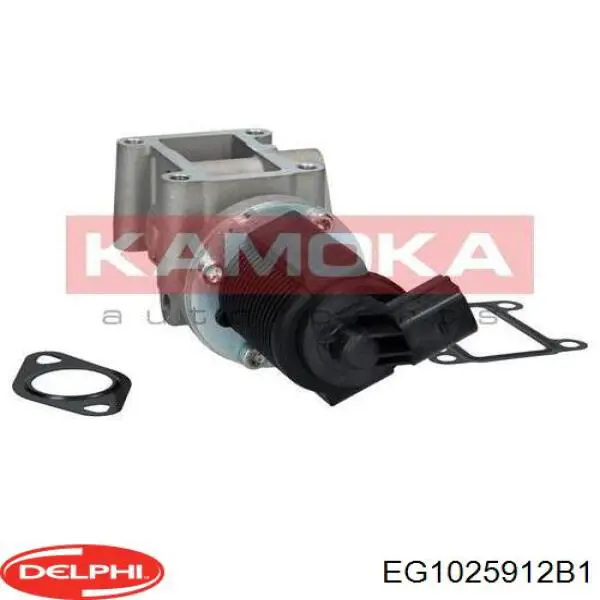 Клапан EGR рециркуляції газів Delphi EG1025912B1