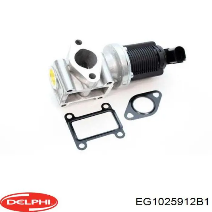 Клапан EGR Delphi EG1025912B1 ціна, від 45.20 USD