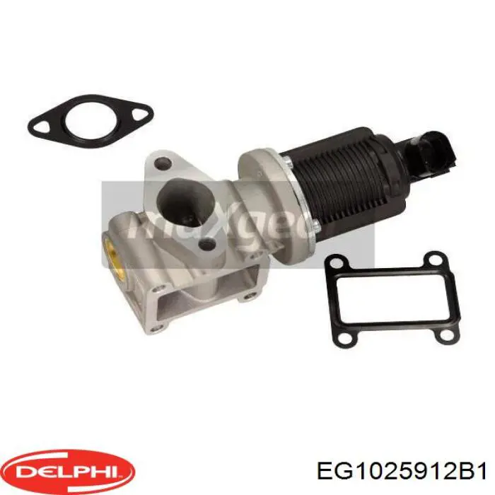 Купити EG1025912B1 Delphi Прилади управління системи рециркуляції
