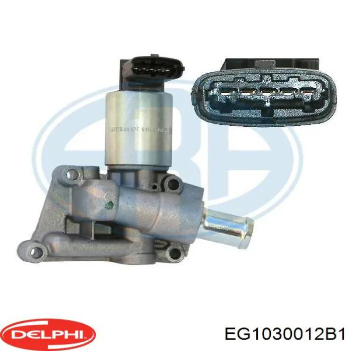 Клапан EGR, рециркуляції газів EG1030012B1 Delphi