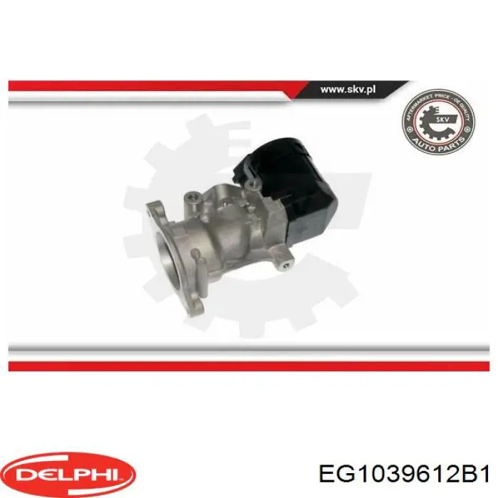 Клапан EGR рециркуляції газів Delphi EG1039612B1