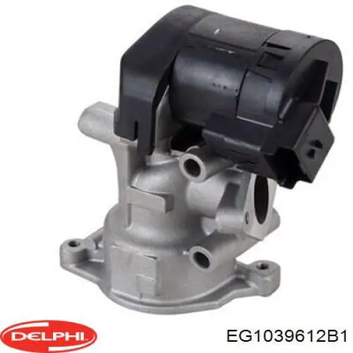 Клапан EGR Delphi EG1039612B1 ціна, від 84.00 USD
