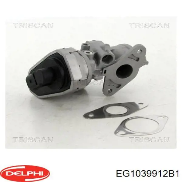 Клапан EGR Delphi EG1039912B1 ціна, від 122.68 USD
