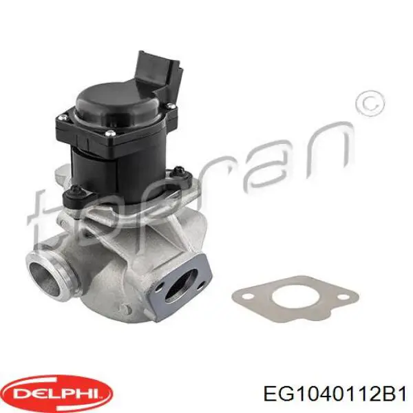 Клапан EGR Delphi EG1040112B1 ціна, від 93.80 USD