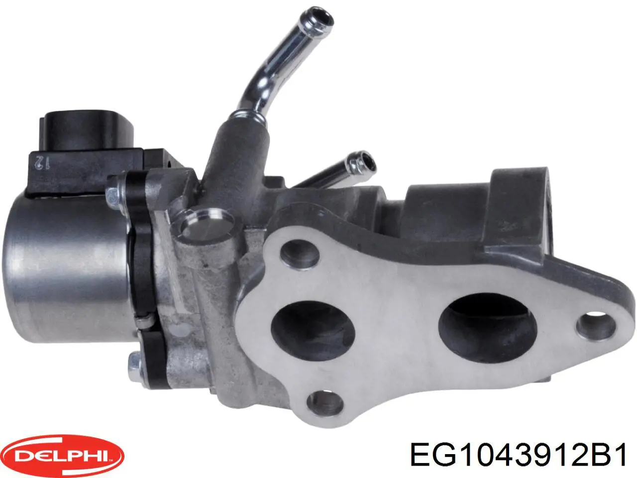 Купити EG1043912B1 Delphi Прилади управління системи рециркуляції