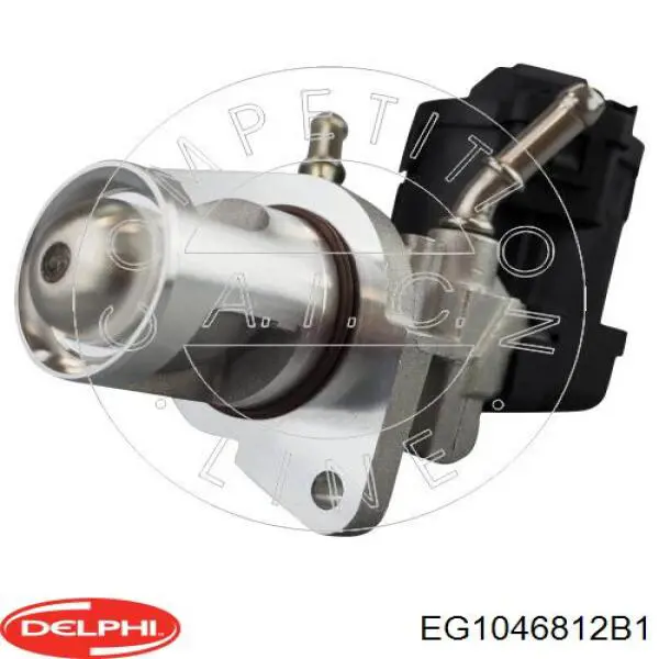 Клапан EGR Delphi EG1046812B1 ціна, від 75.78 USD