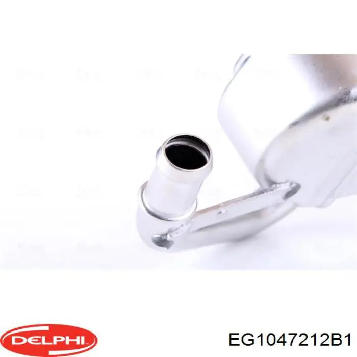 Радіатор системи EGR рециркуляції вихлопних газів EG1047212B1 Delphi