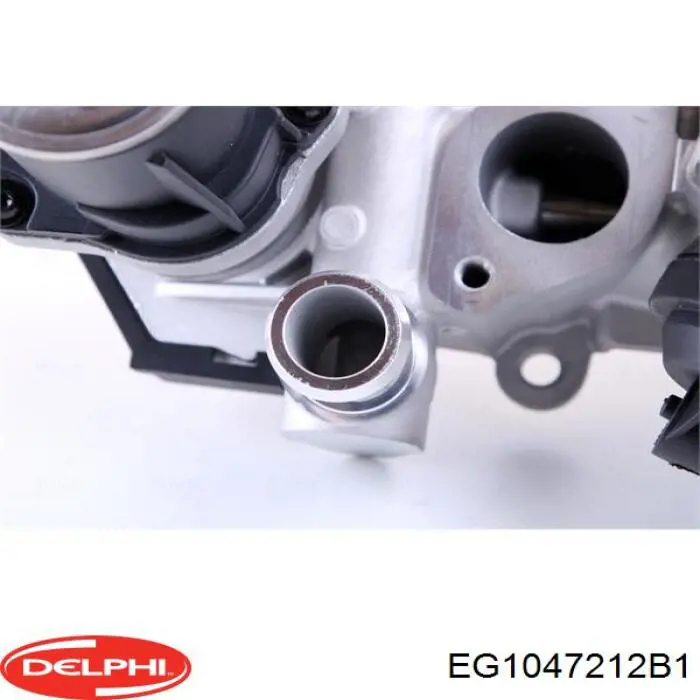 Купити EG1047212B1 Delphi Радіатор системи EGR рециркуляції вихлопних газів