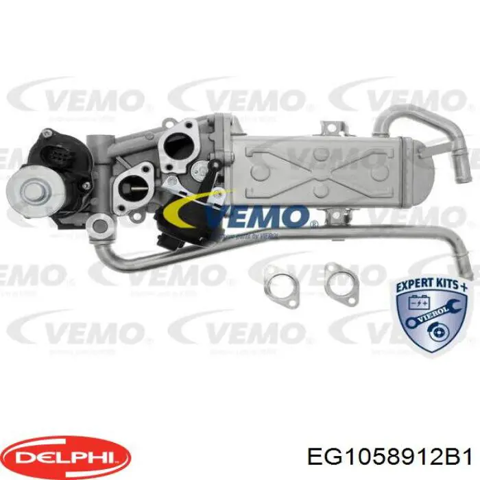 Радіатор системи EGR рециркуляції вихлопних газів Delphi EG1058912B1 ціна, від 185.82 USD
